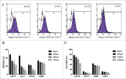 Figure 2. Characteristics of CDCs derived from mouse and human. (A) CD117 expression in CM-CDCs was assessed by flow cytometry and shown in a representative figure. (B) Representative summary of the antigenic phenotype of CM-CDCs. (C) Representative summary of the antigenic phenotype of CLH-EDCs. Data are shown as the mean ± SEM of 3 independent experiments. *p < 0.05 vs. 0 h group, **p < 0.01 vs. 0 h group.