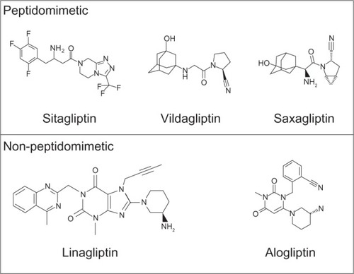 Figure 2 Dipeptidyl peptidase-4 inhibitors in current global use.