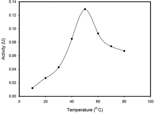 FIGURE 5 Effect of temperature on enzyme activity.