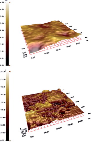 Figure 4. AFM images of SPR chip surface.