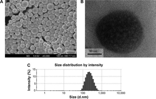 Figure 6 FESEM image (A), TEM image (B), and DLS spectra (C) of genistein-loaded TPGS-b-PCL NPs.Abbreviations: DLS, dynamic light scattering; FESEM, field emission scanning electron microscopic; NPs, nanoparticles; PCL, poly(ε-caprolactone); TEM, transmission electron microscopic; TPGS, d-α-tocopheryl polyethylene glycol 1000 succinate.