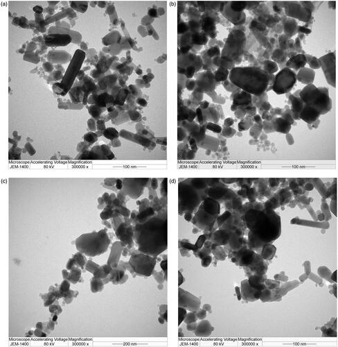 Figure 2. TEM images of the formulated chemo drugs: (a) ZnO, (b) DOX + ZnO, (c) CP + ZnO and (d) CP + DOX + ZnO. CP: carboplatin; DOX: doxorubicin; ZnO: zinc oxide nanoparticles.