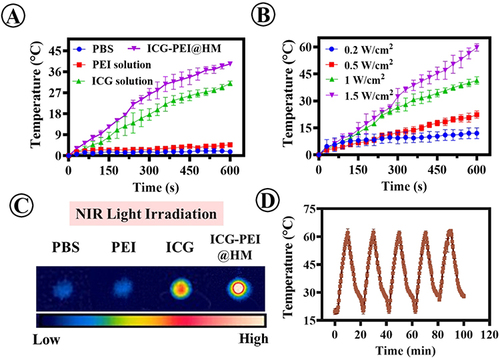 Figure 4 Photothermal conversion data. (A) The photothermal profiles of PBS, PEI, ICG, and ICG-PEI@HM NPs. (B) Temperature changes of ICG-PEI@HM NPs under different power density irradiations. (C) NIR thermal images of samples under laser irradiation. (D) The photothermal capability of ICG-PEI@HM NPs over five laser on/off cycles (808 nm, 1 W /cm2).