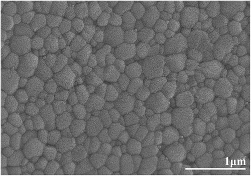 Figure 8. SEM microstructure of the polished surface following thermal etching (1200°C for 30 min) of a two-stage sintered (first stage sintering temperature: 1300°C, second stage sintering temperature: 1240°C for 24 hours) YTZP ceramic.