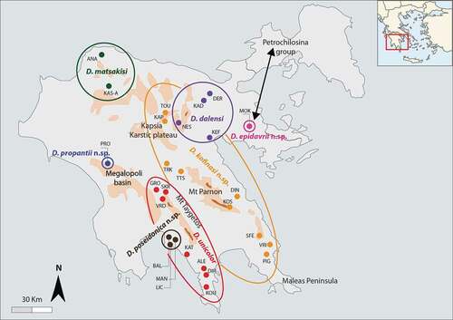 Figure 1. Geographic distribution of the Peloponnesian Dolichopoda populations sampled and analyzed in this study. Codes are as in Table I. Black arrow indicates the probable way of colonization of Dolichopoda ex-Petrochilosina from mainland Greece