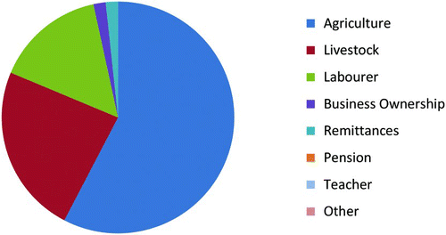 Figure 3. Main activities of survey households in Bangalala. Source: Household survey, 2012.