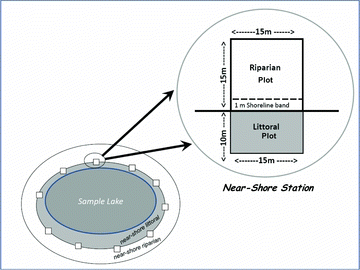 Figure 2 Field sampling design with 10 near-shore stations at which data were collected to characterize near shore lake riparian and littoral physical habitat in the EMAP-Northeastern Lake Survey. The 10 stations were systematically spaced around the shore of the lake from a random starting point. Insert shows riparian plot, shoreline band, and littoral plot located at each station.