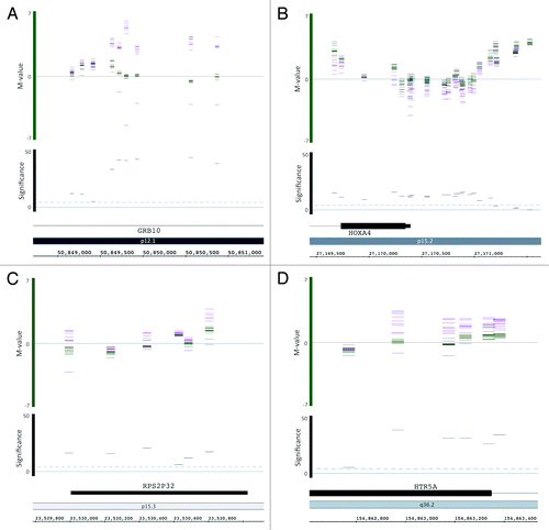 Figure 5. Infinium HumanMethylation450K BeadChip methylation levels visualized by the Integrated Genome Browser (IGB) for (A) GRB10, (B) HOXA4, (C) RPS2P32, and (D) HTR5A. Bars show the M-values of individual samples for each CpG in the DMRs along the chromosome (horizontal axis). Bar color indicates sample type: purple, matUPD7s; green, controls; and blue patUPD7. M-value 0 indicates 50% methylation, positive values hypermethylation and negative values hypomethylation. The significance level (-log10) of matUPD7s vs. controls for each CpG is shown by the black bars. The dashed line indicates the significance threshold of P value 0.05. Figures were modified from the IGB output, and the CpG locations are approximations showing a 50 bp region calculated +/−25 bp from the Illumina annotation file coordinate corresponding to the genomic position of the C in CG dinucleotide, according to Genome build 37. The partial matUPD7 sample was excluded for genes located outside the partial matUPD7 region: GRB10, HOXA4, and RPS2P32.