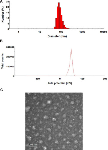 Figure 2 (A) Particle size, (B) zeta potential distribution, and (C) a transmission electron micrograph of ODSF micelles. Scale bar: 200 nm.