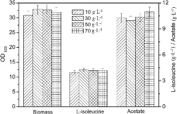 Figure 2. Effect of different initial sucrose concentrations on L-isoleucine fed-batch fermentation by E. coli TRFP in baffled flasks.