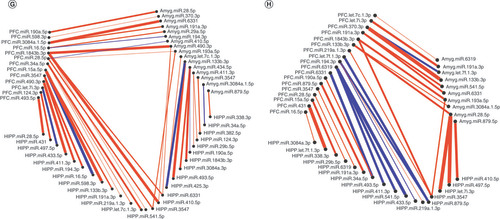 Figure 3. Correlated miRNA–miRNA expression dendrograms and heat maps across three brain regions by maternal separation and sex. Significantly altered interaction effect miRNAs across the prefrontal cortex, amygdala and hippocampus were included in this correlation and hierarchical clustering analysis in R. Correlation heat maps for (A) male controls, (B) male MS, (E) female controls and (F) female MS animals show patterns of miRNA–miRNA correlation across the brain; each of the k = 3 clusters is marked by a colored outline in the dendrogram and height is an arbitrary unit estimating the distance between different clusters. For each group – (C) male controls, (D) male MS, (G) female controls and (H) female MS – significantly correlated miRNAs (false discovery rate <0.05) were narrowed to look across regions. Positive correlations are shown in red and negative correlations in blue; thicker lines indicate a more significant correlation.MS: Maternal separation.