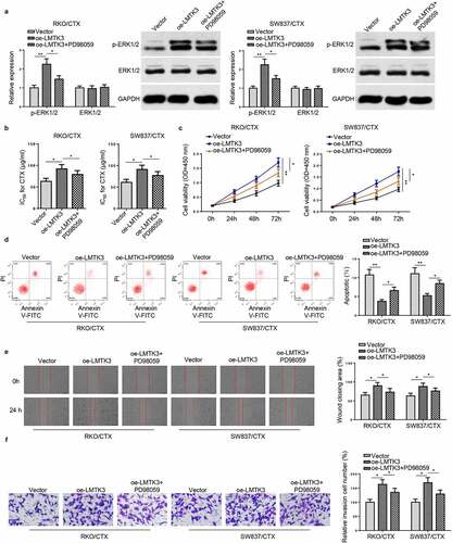 Figure 5. Inactivation of ERK/MAPK signaling reverses the enhanced CTX resistance induced by LMTK3 overexpression in vitro. (a) Protein levels of p-ERK1/2 and ERK1/2 in RKO/CTX and SW837/CTX cells transfected with Vector, oe-LMTK3, or oe-LMTK3+ PD98059 were analyzed by western blotting. (b) CTX IC50 values of RKO/CTX and SW837/CTX cells respectively transfected with Vector, oe-LMTK3, or oe-LMTK3+ PD98059 were determined by CCK-8 assay. (c) CCK-8 assay was performed to determine cell vitality. (d) Flow cytometry was performed to detect cell apoptosis. (e and f) Cell migration and invasion were assessed by wound healing and transwell assays. *P < 0.05 and ** P < 0.01