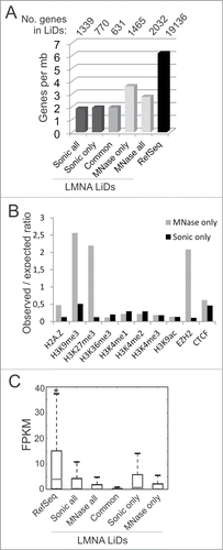 Figure 4. Genomic, epigenetic and gene expression characterization of LMNA LiDs mapped to sonicated and MNase-digested chromatin. (A) Number of protein-coding RefSeq genes per megabase of genome in LiDs unique or common to sonicated or MNase-digested chromatin. Genes were attributed to LiDs based on localization of the TSS within or outside a LiD. Since genes may have more than one TSS, one gene may be attributed to more than one group, explaining why numbers of genes in “all, only or common” categories do not add up. (B) Observed/expected ratios of enrichment in indicated chromatin marks mapped by ChIP-seq in HeLa cells, determined from public ENCODE data. Genome coverage by each mark is shown in Table 1. (C) Median expression level of expressed RefSeq genes (FPKM > 0) included in these LiDs, relative to expression level of all RefSeq genes in the genome. *P < 10−38, Wilcoxon rank-sum test, relative to all other categories.