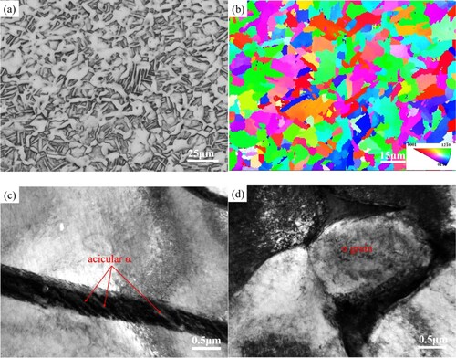 Figure 5. (a) OM image, (b) EBSD IPF map, (c) and (d) TEM bright-field images showing the microstructure of the 980-AC sample.