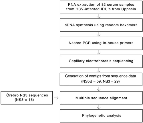 Fig. 1.  Flowchart overview of the methodology.