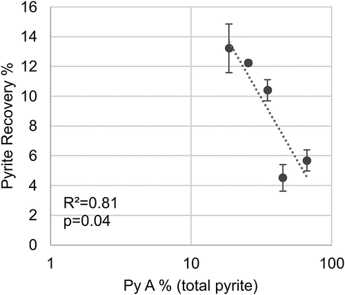 Figure 14. Correlation prevalence in % of coarse-grained pyrite (Py A) vs pyrite recovery.
