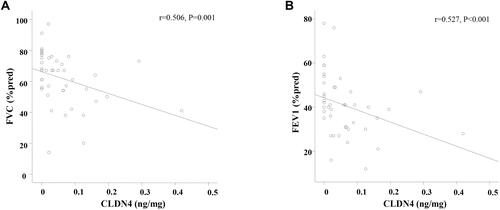Figure 2 Association of plasma claudin-4 (CLDN4) levels and lung function of chronic obstructive pulmonary disease (COPD) patients. (A) Forced vital capacity (FVC), and (B) forced expiratory volume in one second (FEV1) of COPD-stable (ST) was correlated with plasma CLDN5 levels.