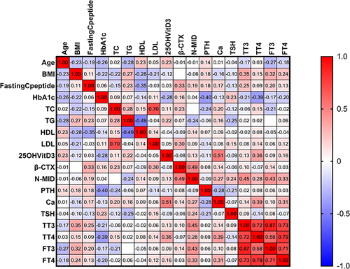Figure 9 The heatmap depicts the correlation between the other variables and N-MID in the DKA group. We found that β-CTX (r=0.49, p<0.05), TT3 (r=0.45, p<0.05), FT3 (r=0.43, p<0.05) was strongly positively (displayed in red color) correlated with N-MID, but TG (r=−0.24, p<0.05) was strongly negatively (displayed in blue color) correlated with N-MID. The gradient in red represents the degree of positive correlation, while the gradient in blue represents the degree of negative correlation, as shown by the color bar on the right side of the map.