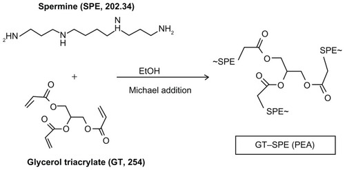 Figure 1 Synthetic scheme of GT–SPE polyspermine.Abbreviations: GT, glycerol triacrylate; SPE, spermine; PEA,.