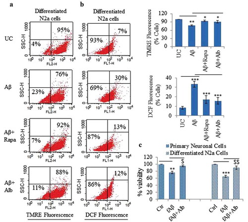 Figure 11. Alborixin provided neuroprotection against Aβ1-42 in differentiated neuroblastoma and primary neuronal cells. (A) Flow cytometric analysis for mitochondrial membrane potential in differentiated N2a cells by using TMRE dye. Alborixin rescued the cells from Aβ induced mitochondrial stress as indicated by increased number of TMRE fluorescent cells in comparison to cells treated with Aβ alone. (B) Analysis for ROS generation by flow cytometry. N2a cells were treated similarly as for mitochondrial potential analysis. ROS generation was captured by using DCFH2-DA, which produced green fluorescence after interaction with ROS. As indicated by dot plot, alborixin considerably reduced the ROS generation induced by Aβ. The histograms in Figure 11A and B represent the average number of TMRE- or DCF-positive cells from 3 independent experiments for each sample. (C) Alborixin rescued primary neuronal and differentiated N2a cells from Aβ cytotoxicity. Cells treated with Aβ1-42 for 48 h were checked for their viability through an SRB assay. Alborixin (250 nM) was added to cells 24 h before termination of the experiment. Bonferroni test was applied for statistical comparisons between different samples as shown in the figures. p values ***p < 0.001, **p < 0.01, *p < 0.05 or @@@p < 0.001, @@p < 0.01, @p < 0.05.