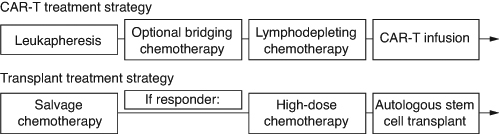 Figure 2. Scheme of CAR-T and transplant treatment strategies.