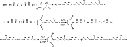 Scheme S2 The synthetic routes of Mal-PEG-ss-COOH copolymer.Abbreviations: DCC, dicyclohexyl carbodiimide; DMAP, 4-dimethyl aminopyridine; PEG, poly(ethylene glycol).