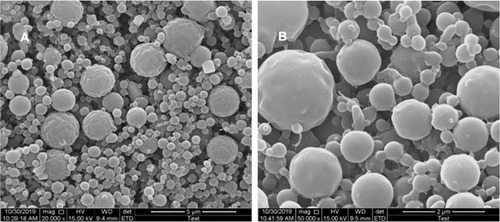 Figure 2 SEM photograph of rh-EPO-Tw-ABNPs prepared by different flow rates (A) 0.5 mL/h; (B) 1 mL/h.