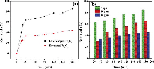 Figure 8. (a) Effect of adsorbent type for adsorption of RhB (5 mg⋅L−1) and (b) effect of RhB concentration on percent removal (%) onto L-Ser capped Fe3O4 NPs.