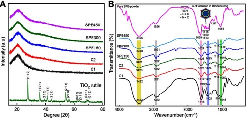 Figure 1 XRD patterns (A) of TiO2 nanoparticles in Rutile phase, CMC film (C1), CMC/TiO2-2% (C2) nanocomposite and activated nanocomposites with 150 (SPE150), 300 (SPE300) and 450 mg/mL (SPE450) Miswak extract and FTIR analysis (B) of pure SPE-powder and all mentioned samples.Abbreviations: C1, CMC film; C2, CMC/TONP-2% nanocomposite; CMC, carboxymethyl cellulose; FTIR, Fourier transform infrared spectroscopy; SPE, Salvadora persica L. root extract; SPE150, SPE300, and SPE450: CMC/TONP-2% containing 150, 300, and 450 mg/ml of SPE, respectively; TONP, TiO2 nanoparticles; XRD, X-ray diffraction analysis.