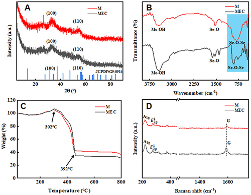 Figure 3 (A) X-ray diffraction (XRD) image of M and MEC; (B)Fourier transform infrared spectroscopy (FT-IR) image of M and MEC; (C) Thermogravimetric (TGA) image of M and MEC; (D) Raman image of M and MEC.