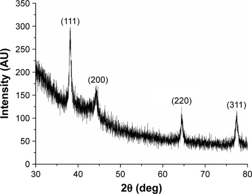 Figure 4 Crystalline structure analysis by XRD of the AgNPs (Duddingtonia flagrans).Abbreviations: AgNPs, silver nanoparticles; XRD, X-ray diffraction.