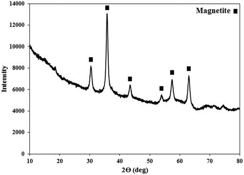 Figure 4. The XRD spectrum of the synthesized PEG1500-PMNPs. The obtained peaks confirmed formation of magnetite phase with cubic structure. A wide stretch at left side of the spectrum also showed the presence of amorphous polymeric phase.