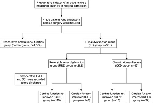 Figure 1 Groupings of patients.