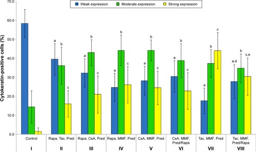 Figure 5 Percentage of cytokeratin-positive cells in epithelium in the rat dorsolateral prostate in control (I) and experimental groups (II–VIII).