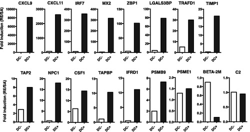 Figure 4. Marker gene expression analyses in Lineage−, HLA-DR+ cells, and other cells. PBMC were stimulated with RE or SA for 16 h and then sorted into lineage−, HLA-DR+ cells and other cells via FACS. Marker gene expression levels were assessed in both fractions by QGP assay. Experiments were conducted in duplicate. Data shown are means.