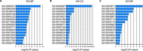 Figure 7 GO enrichment analysis of E2Fs and their 50 most frequently altered neighboring genes.Note: GO functional enrichment analysis predicted three main functions of target genes: (A) BP; (B) CP, and (C) MF.Abbreviations: BP, biological process; CP, cellular component; GO, Gene Ontology; MF, molecular function.