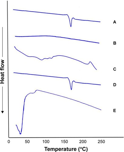 Figure 3 DSC thermogram of (A) OLM, (B) PC, (C) SDC, (D) physical mixture of OLM and transethosomal components, and (E) TE14.Abbreviations: DSC, differential scanning calorimetry; OLM, olmesartan medoxomil; PC, phospholipid; SDC, sodium deoxycholate; TE, transethosome.