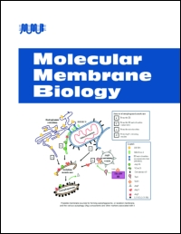 Cover image for Molecular Membrane Biology, Volume 32, Issue 3, 2015