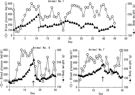 FIG. 3 Trial of intermittent administration of the formulation to BB pregnant rats BB/Wor//Tky hyperglycemic pregnant rats were subcutaneously given 125 U/kg of the insulin formulation every 10 days. Blood glucose level (○) and body weight change (▴) were monitored. Arrow represents the birth of fetuses.