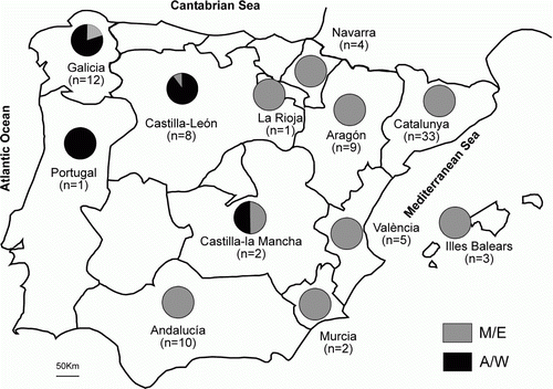 Figure 3.  Iberian Peninsula map, showing the relative frequencies of viral strain group Atlantic/West (A/W, black) and Mediterranean/East (M/E, grey) in every geographical area.