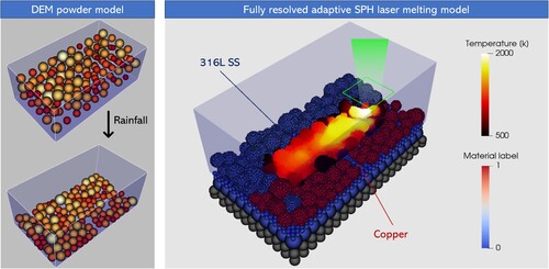 Figure 29. 3D multimaterial PBF simulation using a combined DEM-SPH approach. The colour of DEM grains in the left image represents their diameter.