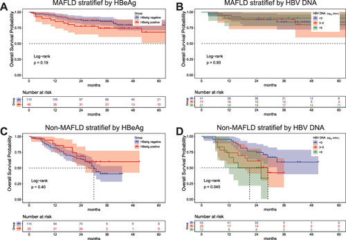 Figure 3 (A) Patients with MAFLD stratified by HBeAg status. (B) Patients with MAFLD stratified by HBV DNA levels. (C) Patients with non-MAFLD stratified by HBeAg status. (D) Patients with non-MAFLD stratified by HBV DNA levels.