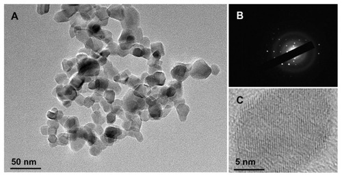 Figure 1 Transmission electron microscopic image (A), electron diffraction patterns (B), and high-resolution transmission electron microscopic image (C) of titanium dioxide nanoparticles.