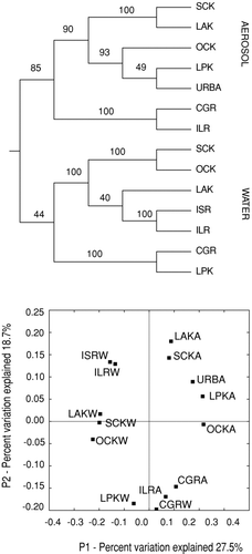 FIG. 3 Acronyms identify each site and timing of sample collection. Sample designations including K, signify sampling date between hurricanes Katrina and Rita; sample designation including R signifies sampling date within a week of Rita's landfall. Final letter signifies sampling environment: designations ending with A, signify atmospheric sample; designations ending with W signify floodwater sample. The sample identified as URBA represents sequence data from an unrelated aerosol study by CitationBrodie et al. (2007). (Top) UPGMA distance matrix results for sequenced samples recovered from air and proximal floodwaters environments following 1000 jackknife iterations. (Bottom) Principal Components Analysis (PCA); Component 1 (sample environment) is on the x-axis. Component 2 (sample date) is on the y-axis.