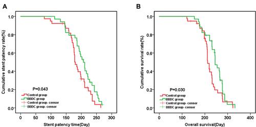 Figure 5 (A) Kaplan–Meier stent patency and overall survival with BBDC group versus control group. Median stent patency was 207 days (95% CI: 189.152, 224.848) in the BBDC group versus 180 days (95% CI: 170.367, 189.633) in the control group, and mean overall stent patency was 204.212 days (95% CI: 190.441, 217.983) in the BBDC group versus 186.278 days (95% CI: 173.427, 199.130) in the control group (P = 0.043, Log rank test); (B) Median overall survival was 245 days (95% CI: 232.010, 257.990) in the BBDC group versus 212 days (95% CI: 204.903, 219.097) in the control group, and mean overall survival was 244.883 days (95% CI: 230.414, 259.352) in the BBDC group versus 221.844 days (95% CI: 207.306, 236.383) in the control group (P = 0.030, Log rank test).