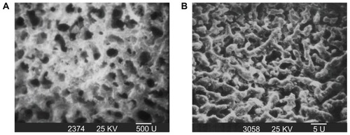 Figure 4 Scanning electron microscopic photographs of mesoporous bioactive glass and polyamide composite scaffolds at (A) ×50 and (B) ×5000 magnification.