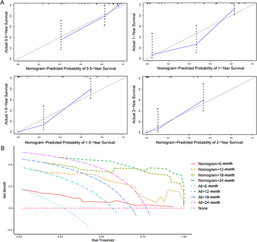 Figure 3 Validation of predictive capacity of the Nomogram in the validation cohort. (A) Predictive accuracy of the nomogram was assessed by the calibration plots. (B) Predictive capacity of the nomogram was assessed by DCA.