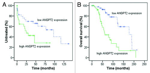 Figure 1. Kaplan-Meier curves for time to first treatment (TTFT) and overall survival (OS) in relation to ANGPT2 mRNA expression. In (A and B), 88 CLL patients were divided according to high and low ANGPT2 expression using the cut-off value 2.967×10−6 (relative mRNA expression of ANGPT2 to B2M). High ANGPT2 expressing cases show significantly shorter TTFT [(A) median 25 vs. 97 mo, p = 0.046; log-rank test) and OS [(B) median 59 vs 177 mo, p < 0.001; log-rank test] compared with low ANGPT2 expressing cases.
