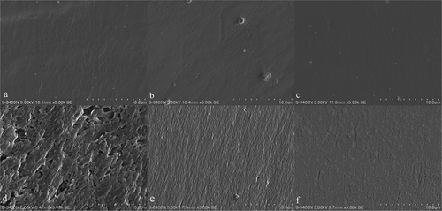 Figure 6. Micrographs of the surface and a cross-section of the hydrogels with or without cross-linkers: (a) surface of an untreated xerogel; (b) surface of a polyphenol cross-linked xerogel; (c) surface of a genipin cross-linked xerogel; (d) cross-section of an untreated xerogel; (e) cross-section of a polyphenol cross-linked xerogel; (f) cross-section of a genipin cross-linked xerogel.