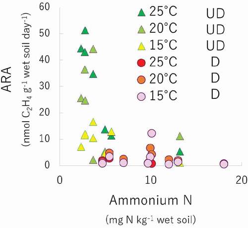 Figure 3. Correlation between ARA and ammonium N of disturbed (D) and undisturbed (UD) soils with different temperatures.